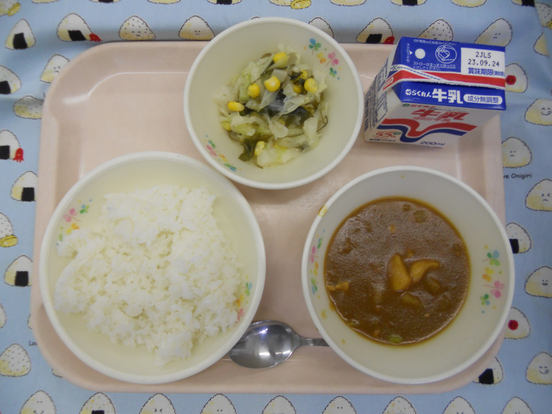 DSCN5880