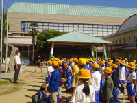 DSC03002