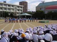 s-DSC03005