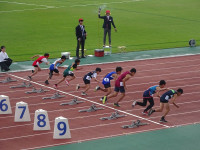 s-DSC03041