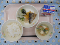 DSCN6048