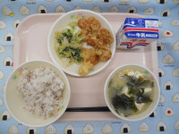DSCN6202