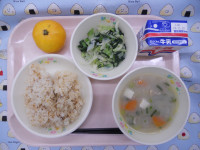 DSCN6277