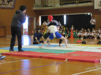 すもう壮行会
