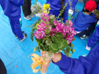 IMGP0592