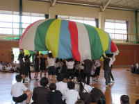 6年