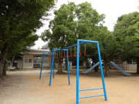 IMGP0050