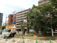 正門前３