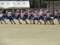 運動会