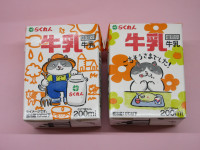 デブ猫ちゃん牛乳２